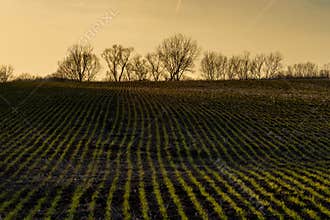 March sunset Poplar Creek Model Airplane Flying Field