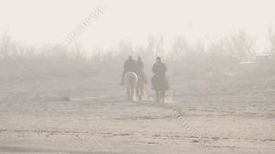 riding horses on beach seen in distance immersed in beautiful sunset mist with grainy film effect