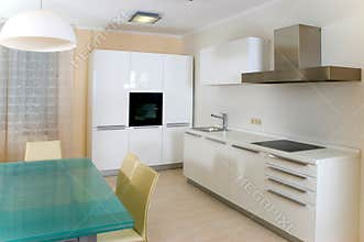 Modern kitchen with furniture