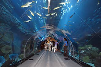 Dubai Aquarium at Dubaimall