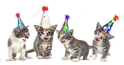 Birthday Song Singing Kittens on White Background