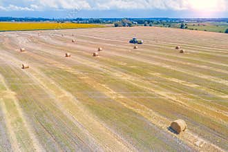 Harvesting wheat. Mowed wheat field. Baling straw