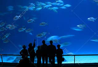 Visitors at Aquarium