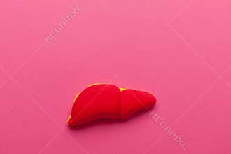Treatment and prevention of the liver. Cirrhosis from alcohol and junk food. Cartoon concept. Copy space for text