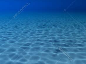 Underwater scene