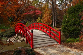 Iris Bridge in the Fall