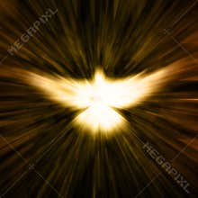 Christian Dove