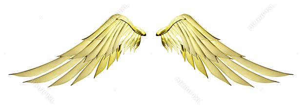 Two golden angel wings with gold color isolated on white background and clipping path