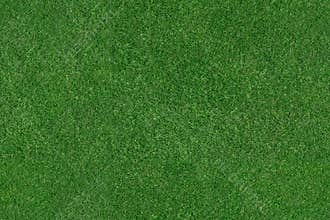 Detailed aerial view of green grass - tiled seamless texture