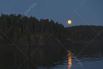 The yellow moon over the forest and the lake