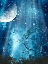 Fantasy landscape