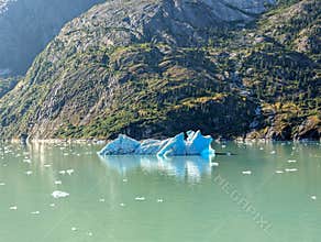Floating ice in the Endicott arm, Alaska