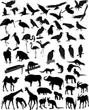 Many silhouettes animals