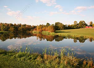 Farm Pond Reflections
