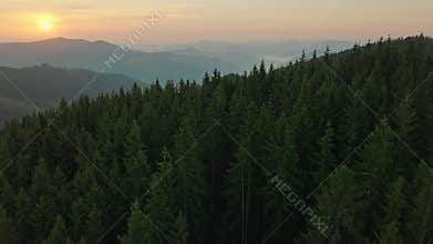 Forest nature mountains dawn sunrise landscape morning beautiful