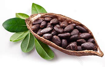 Cocoa pod