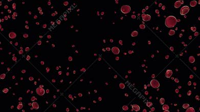 Red Blood Cell Explosion. Burst of Blood Cell. Alpha Channel
