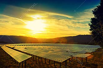 Beautiful sunset over solar energy field