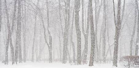 Snowing