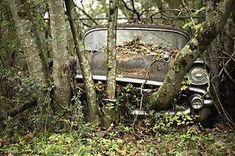 Abandoned car in forest