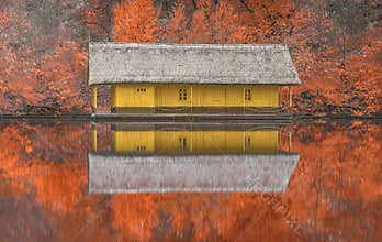 Abandoned yellow wooden house and pontoon surrounded the beautiful autumn orange forest and reflections on the lake.