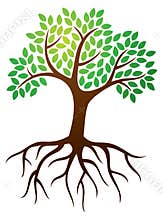 Tree Roots Logo