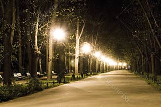 Walk in park at night