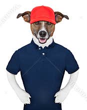 Service dog