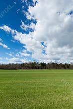 Green meadow with cloudscape