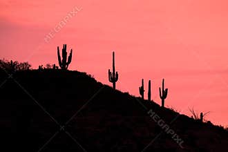 Arizona Sunrise