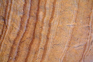 Australia: Sydney sandstone detail 3