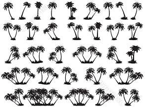 Vector illustrations silhouette of palm trees