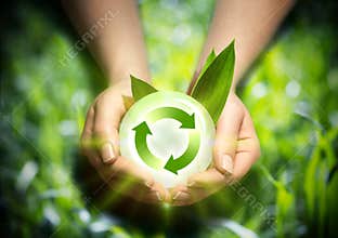 Renewable energy in the hands