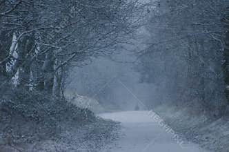 Man walking along snowy woodland footpath