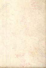 Canvas Texture