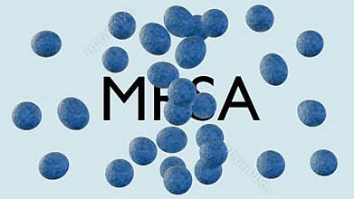 methicillin-resistant Staphylococcus aureus is a type of bacteria that is resistant to antibiotics