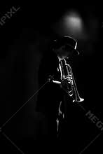 Trumpet