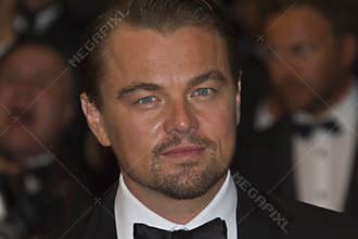 Leonardo DiCaprio