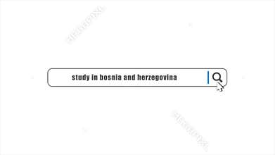 Study in Bosnia and Herzegovina in search animation. Internet browser searching