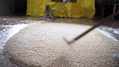 Professional carpet cleaning concept. Male worker cleans dirty carpet.