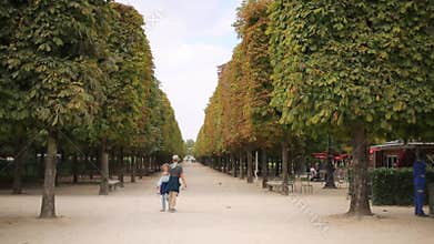 Boy and girl walk at wide alley of chestnut