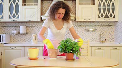Happy pretty woman transplants flowers in pots in