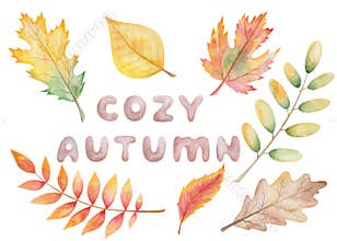 Watercolor illustration hand painted tree leaves in autumn color oak, birch, maple, cherry and text Cozy Autumn isolated on white