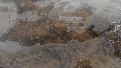 thin transparent ice on a puddle in the park on a spring day, foliage through the ice, dry grass through ice