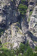 Climbers on famous Raven Crag
