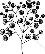 Artistic Eucalyptus Stem Illustration