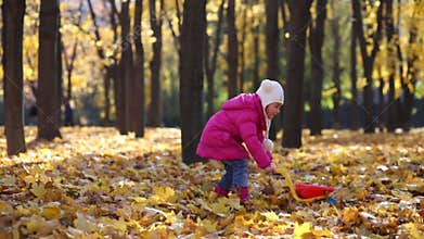 Little girl in pink carries dry leaves in cart in