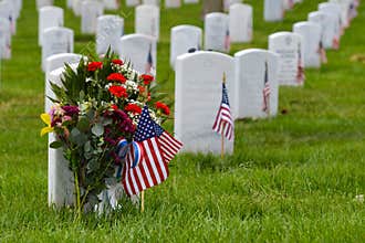 Gravestones in Arlington National Cemetery - Washington DC