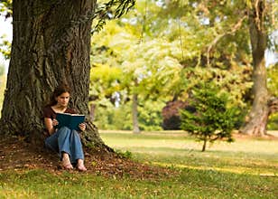 Reading in the Shade