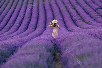 A woman is walking through a field of purple flowers